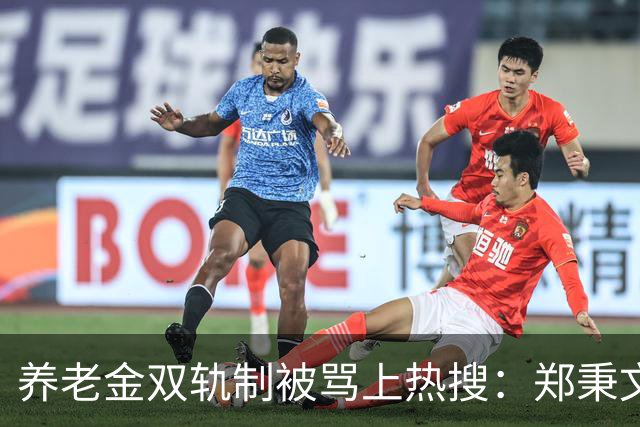 养老金双轨制被骂上热搜:郑秉文背的,是整代人的账